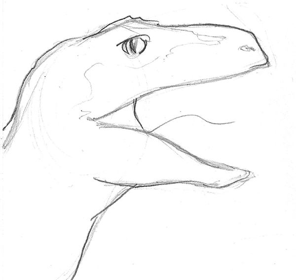 Line drawing of the complex shapes: how to draw a velociraptor (dinosaur) by Nate Lindley.