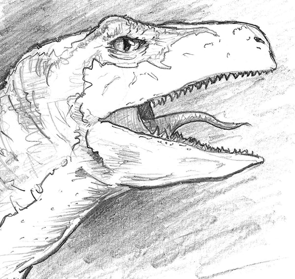 Fully rendered artwork: how to draw a velociraptor (dinosaur) by Nate Lindley.