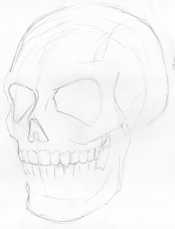 Line Drawing of complex shapes: how to draw a human skull by Nate Lindley.
