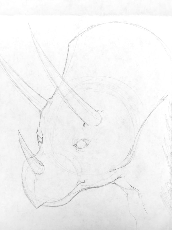 Line drawing of the complex shapes: how to draw a triceratops (dinosaur) by Nate Lindley.