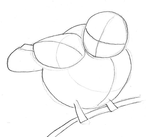 Line drawing of the basic shapes: how to draw a perched bird by Nate Lindley