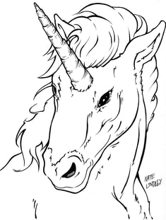 Fully rendered artwork: how to draw a Unicorn by Nate Lindley.