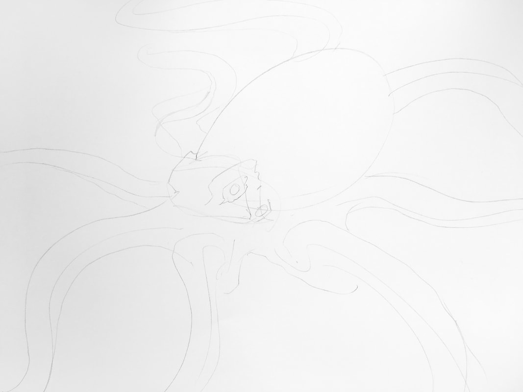 Line drawing of the basic form: How to draw an octopus by Nate Lindley.