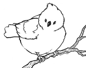 How to draw a perched bird by Nate Lindley