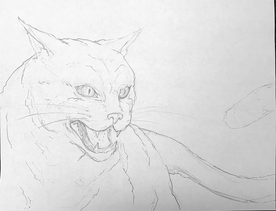 Line drawing of basic shapes: how to draw a Hissing Black Cat by Nate Lindley. Part 2 of 4