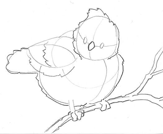 Line Drawing of the improved basic shapes: how to draw a perched bird by Nate Lindley